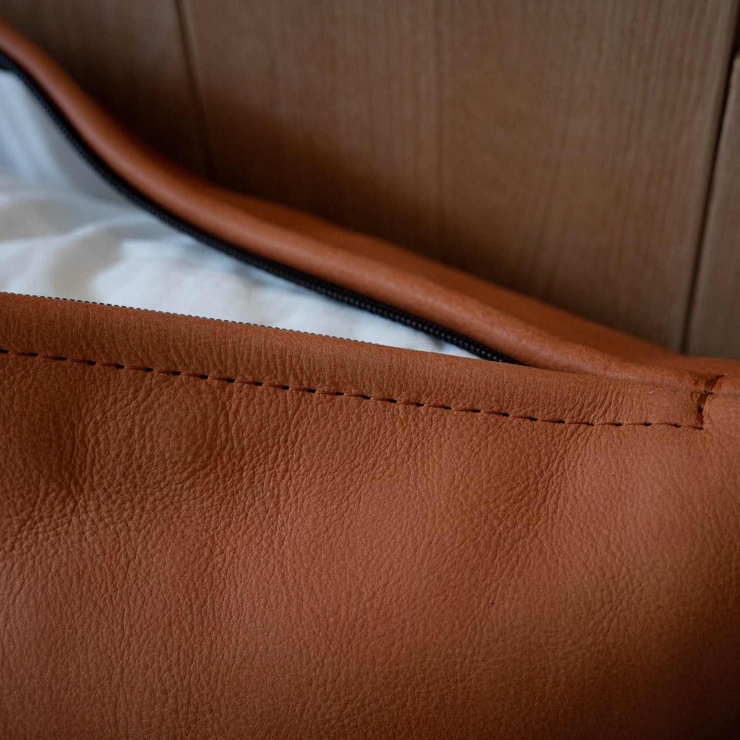 Cushion