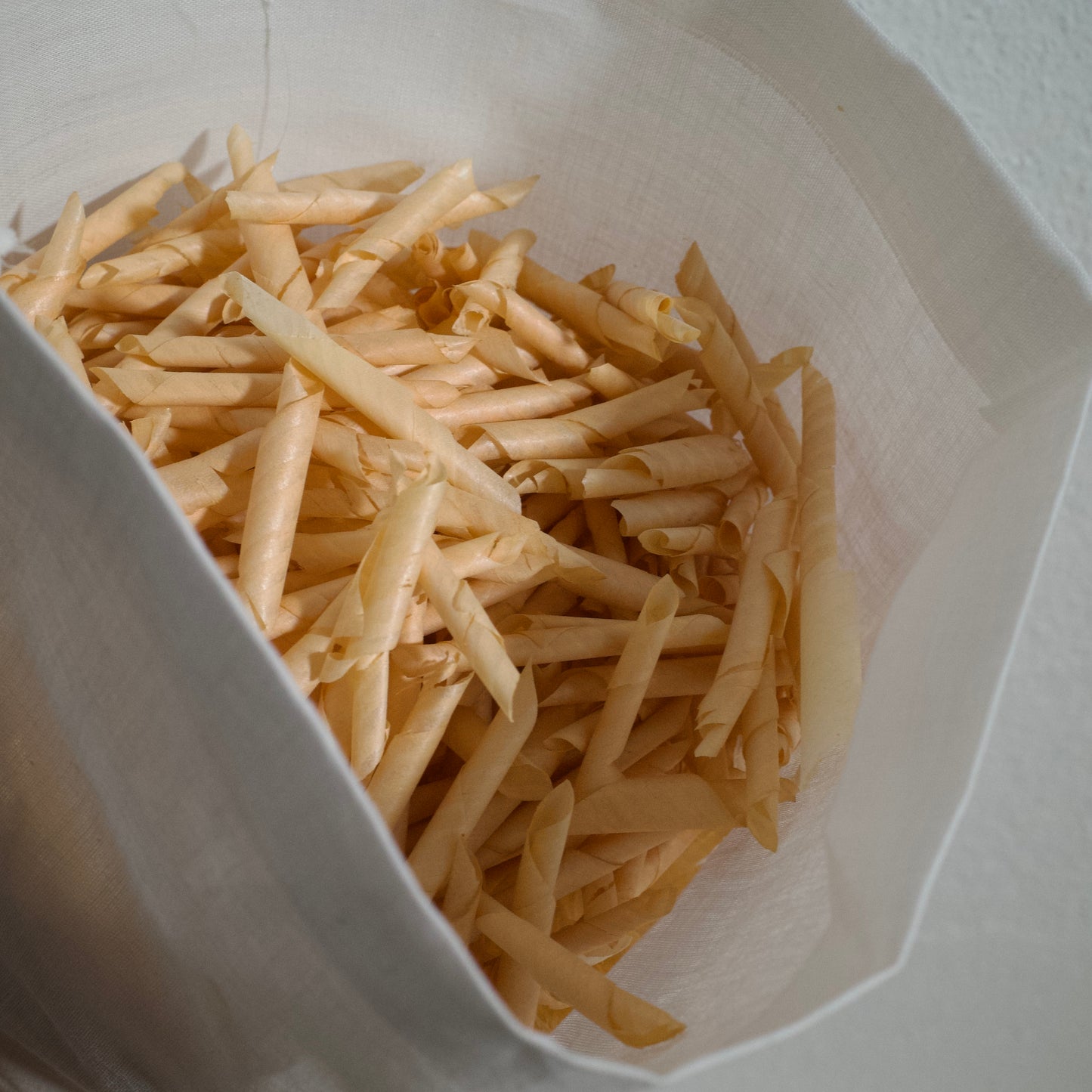 FUSHI｜Himekomatsu Quiet